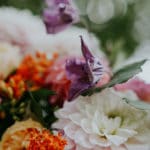 inspiration mariage gourmand colore latelierfleurdo cyrielleriba 112